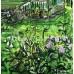 Country House and Garden – Original Ukrainian Landscape Painting by Marina Stognieva
